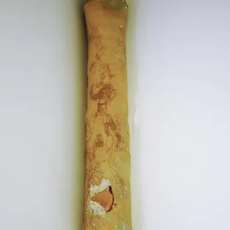 Casa Colonne Apartment